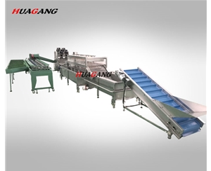 自動(dòng)化水果類清洗風(fēng)干稱重分選流水線