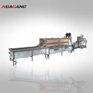 火龍果清洗風干流水線