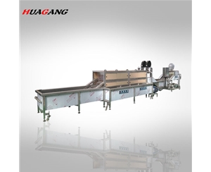 火龍果清洗風(fēng)干流水線