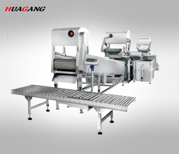 全自動大型連續(xù)式葉菜類清洗線