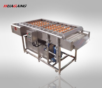 毛發(fā)去雜清洗機