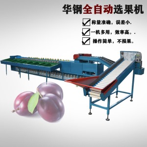小型自動(dòng)上果分選機(jī)