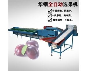 小型自動(dòng)上果分選機(jī)