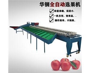 火龍果稱重分選機(jī)（人工上果）