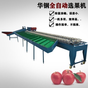 火龍果稱重分選機(jī)(人工上果)